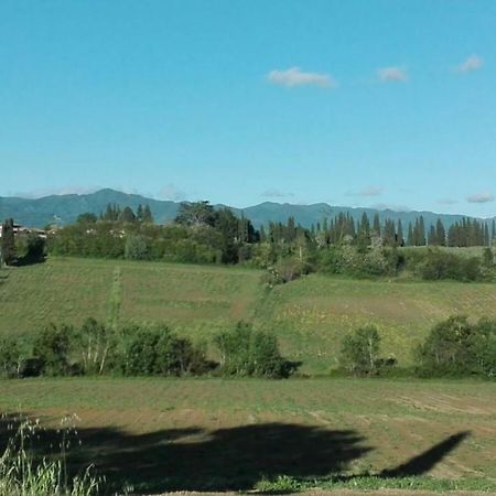 La Dimora Di Angela Leilighet Barberino di Mugello Eksteriør bilde
